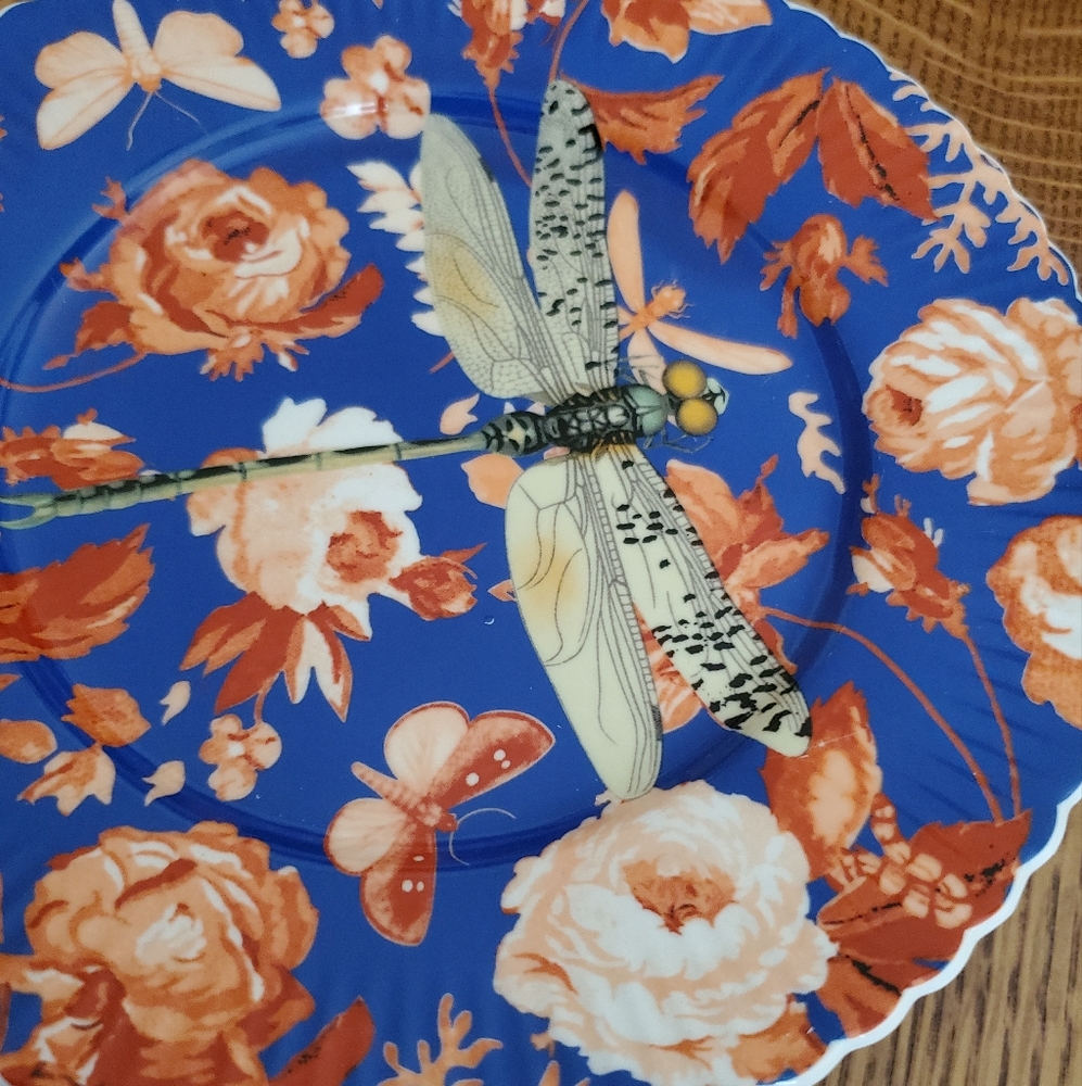 Anthropologie Athalia Dessert Plate - "Dragonfly" - blue/red - Picture 15 of 16